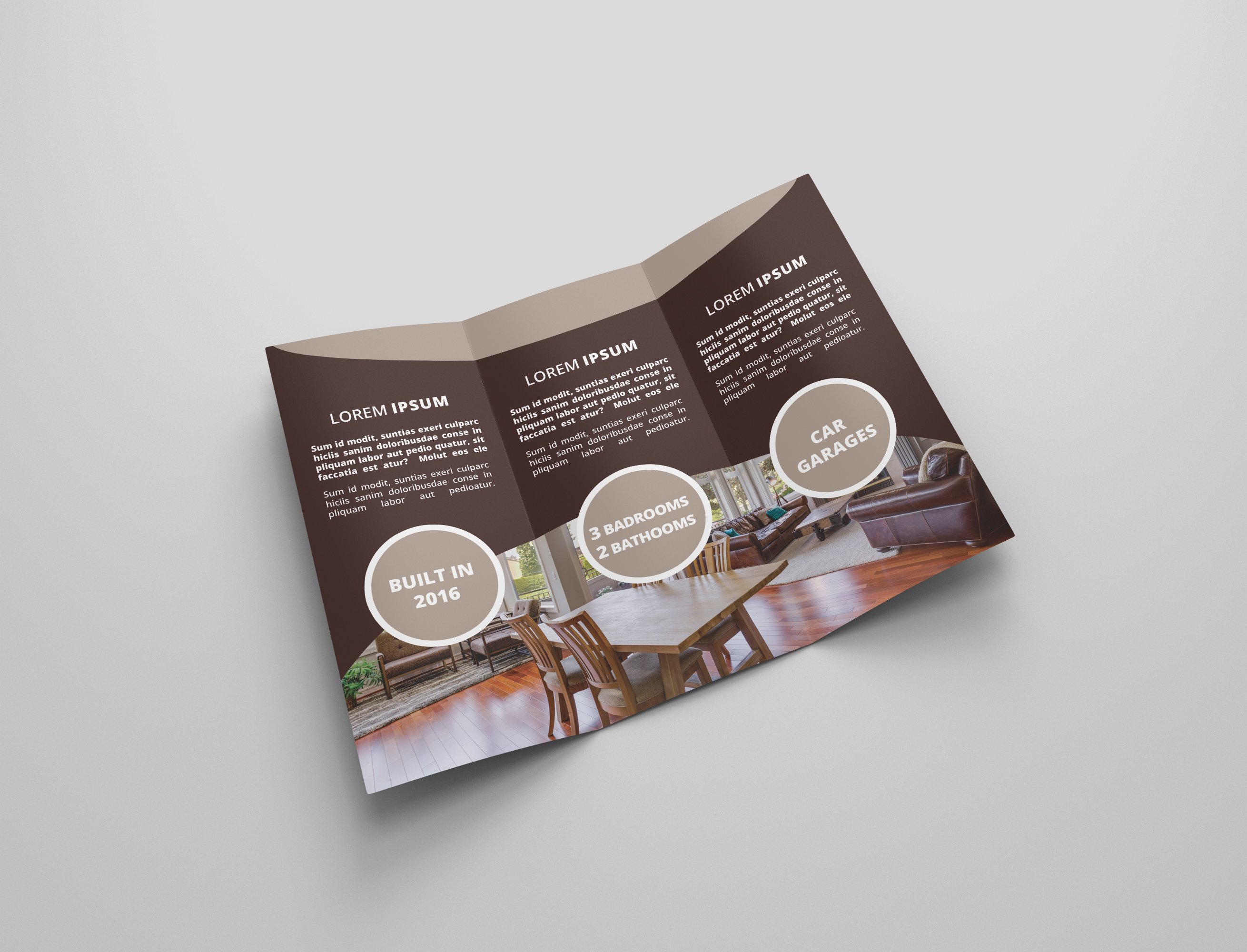 Real Estate Tri-fold Brochures preview image.