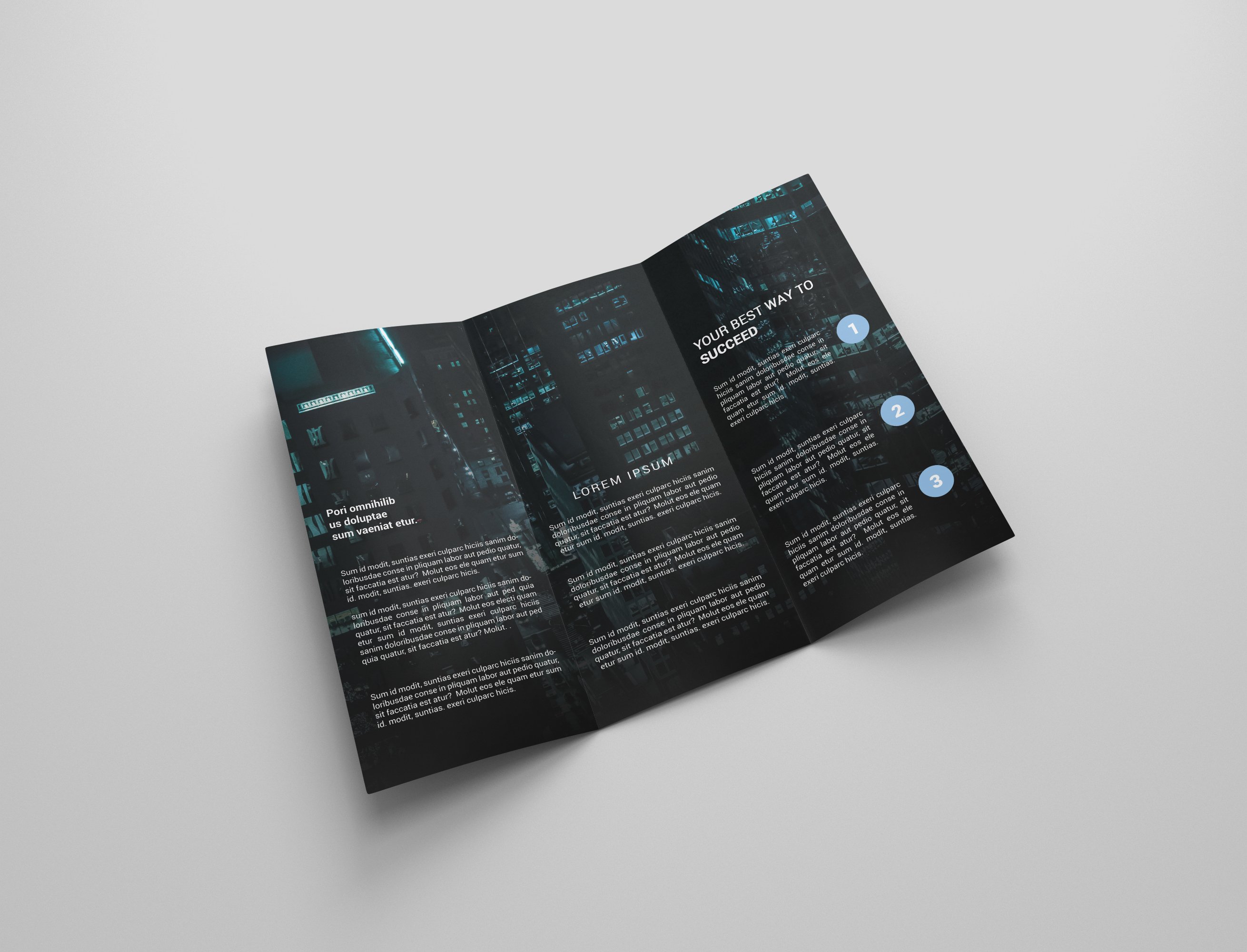 6 Business Tri-fold Brochures preview image.