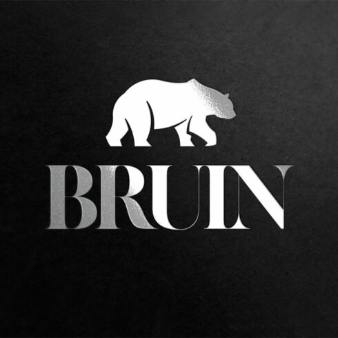 Bear Logo Bruin cover image.