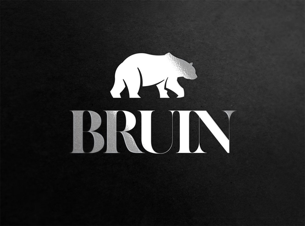 Bear Logo Bruin cover image.