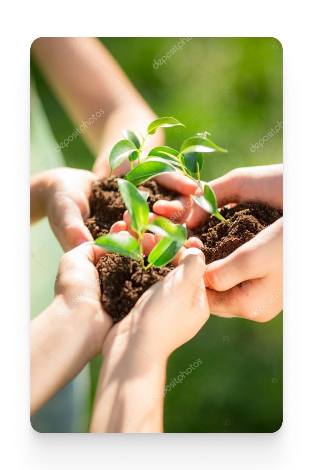 Children holding young plant in hands.