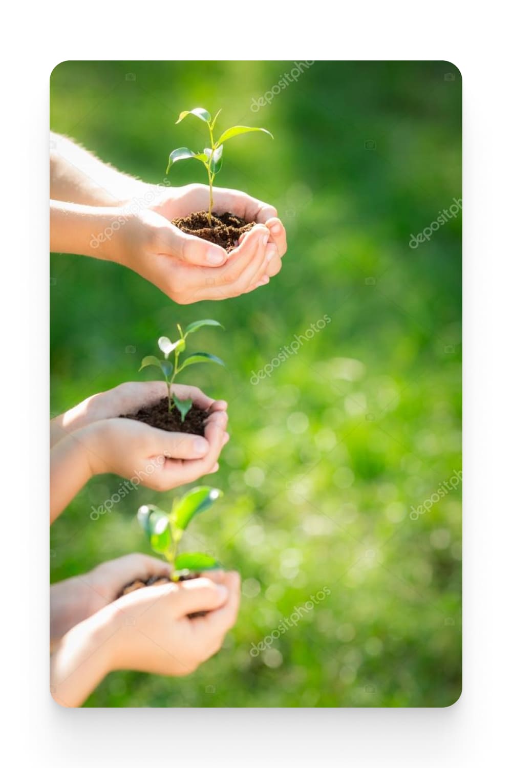 Group of people holding plants in their hands.