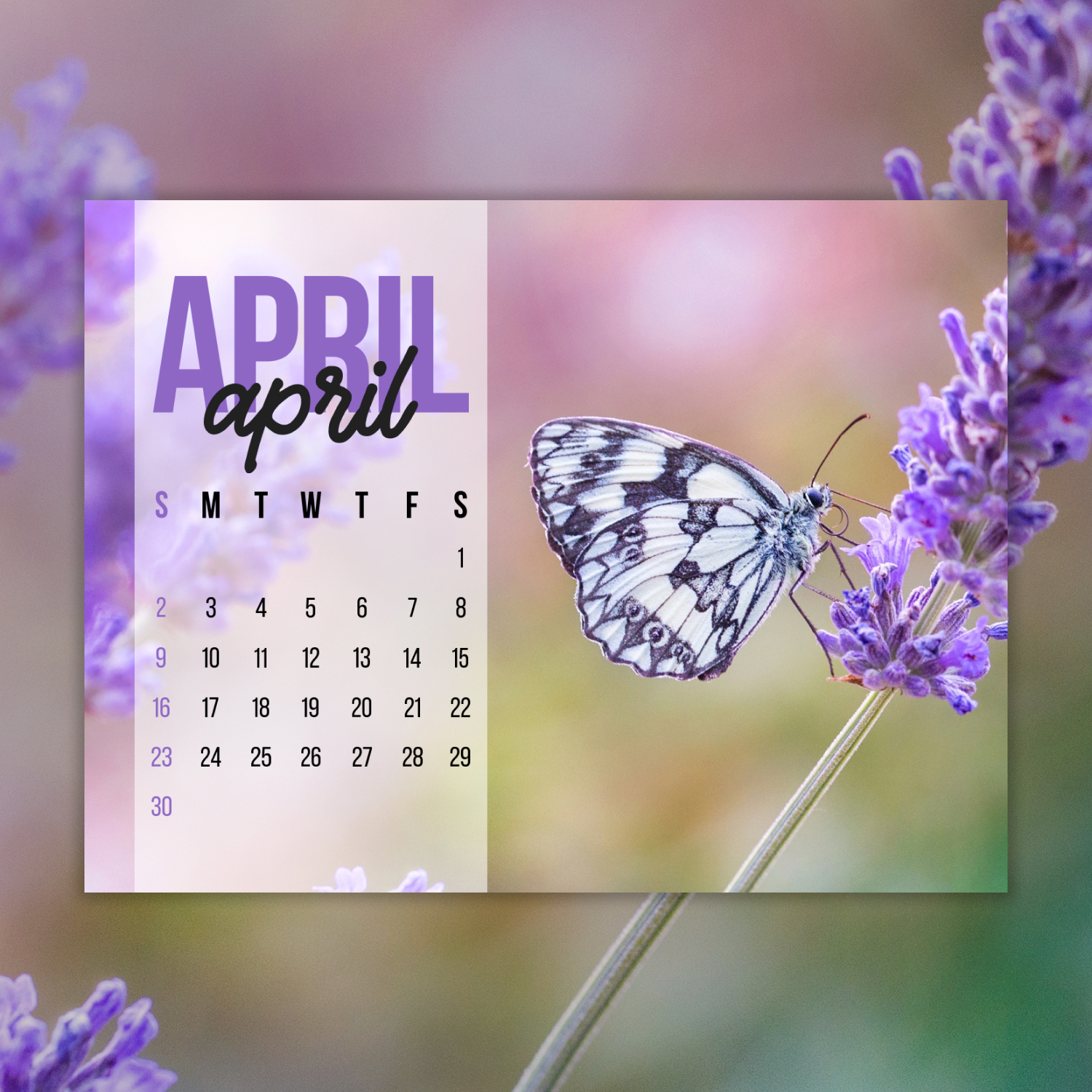 Calendar with a picture of a butterfly on it.
