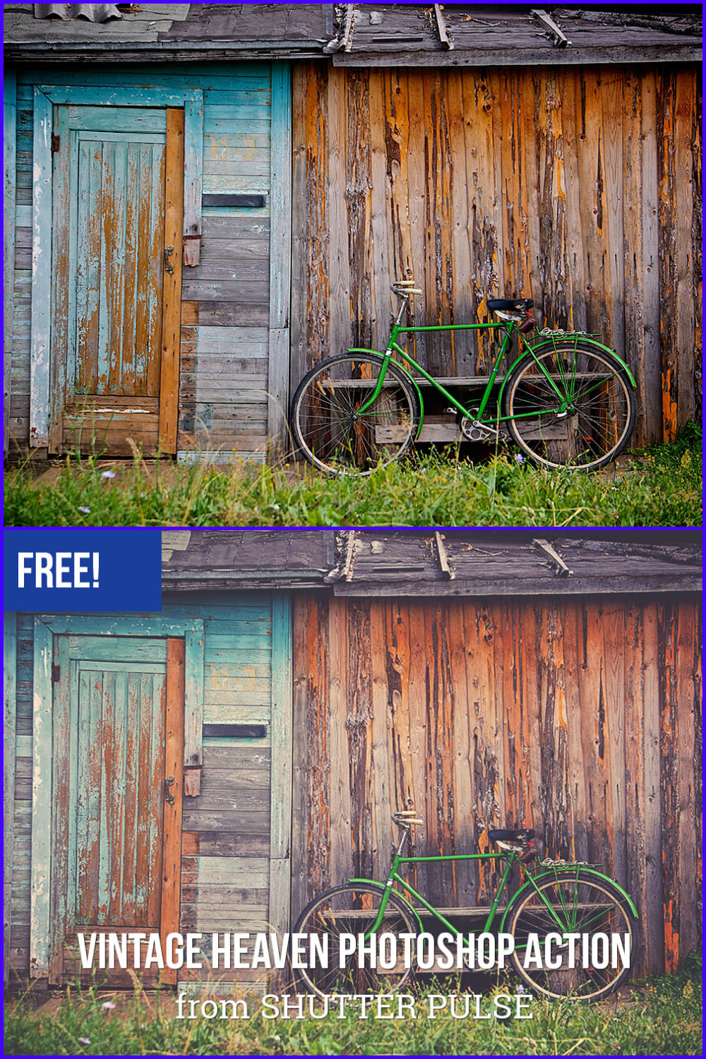 Collage of photos of a bicycle on the background of an old wooden wall in different color shades.