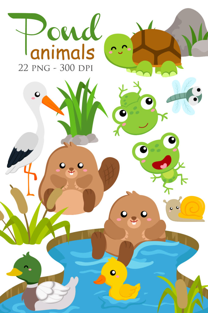 Pond Animal Turtle Frog Duck Snail Beaver Raven Birds Illustration