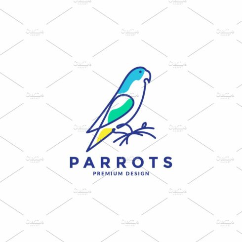abstract colorful bird parrots logo cover image.