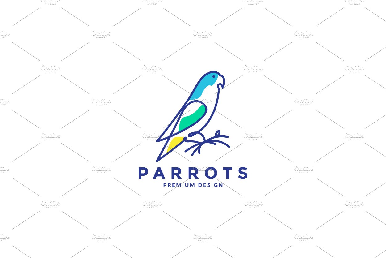 abstract colorful bird parrots logo cover image.