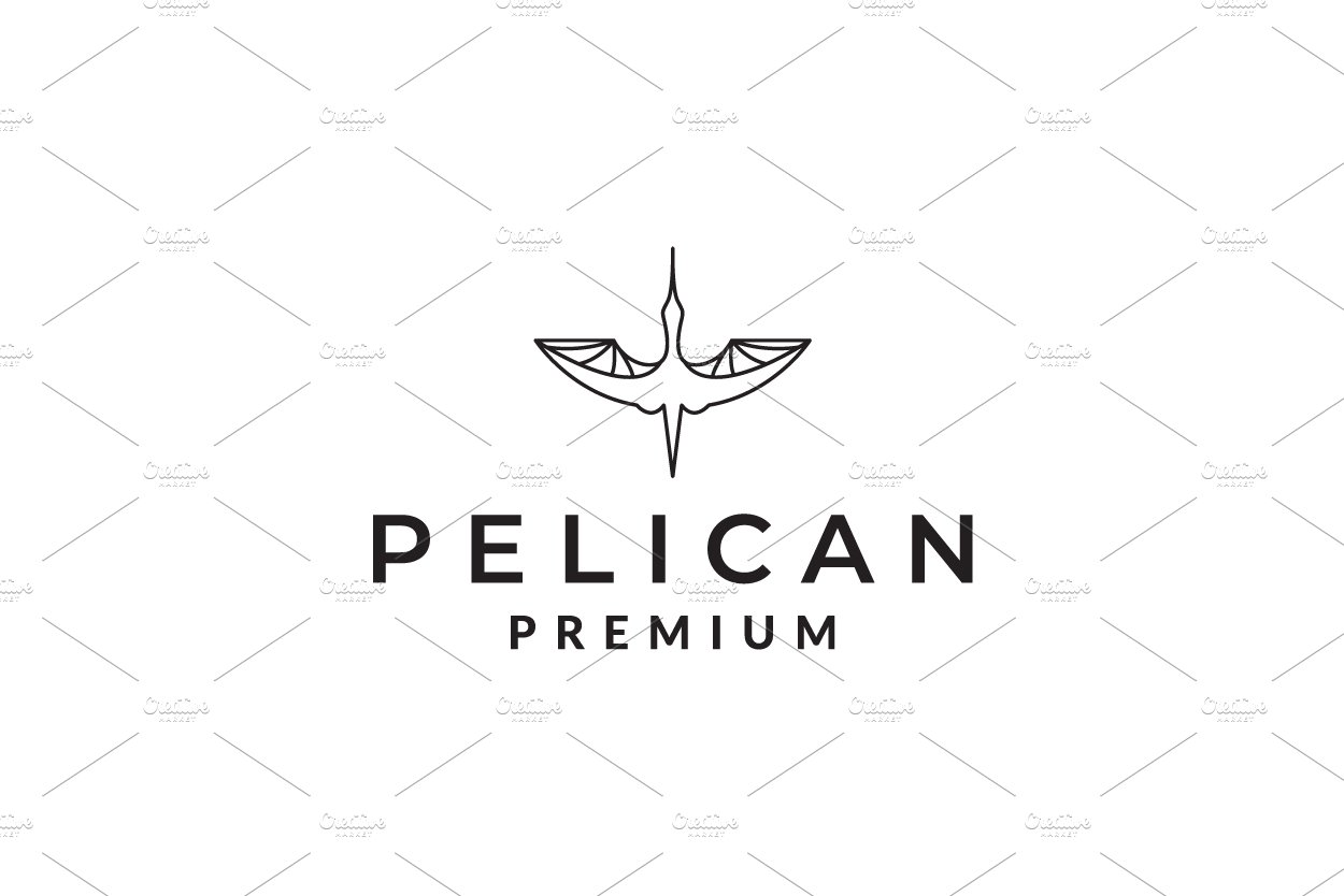 geometric fly bird pelican logo cover image.