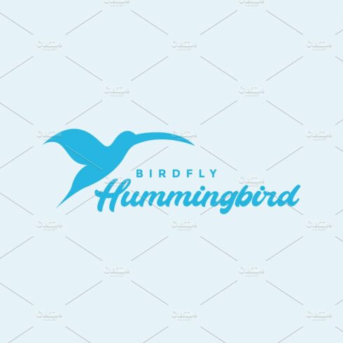 colored flying hummingbird logo cover image.
