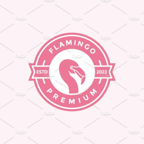 colorful badge flamingo logo design cover image.