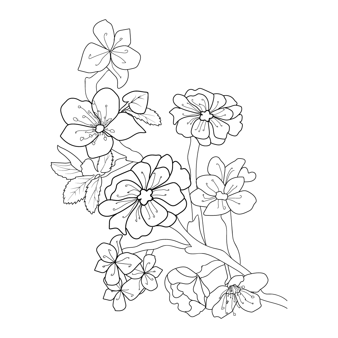 Black and white drawing of flowers on a white background.