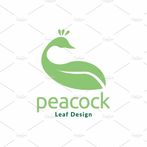 peacock with leaf green logo design cover image.