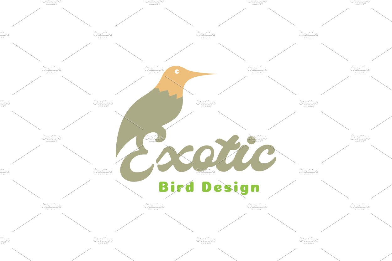 bird hummingbird exotic logo cover image.