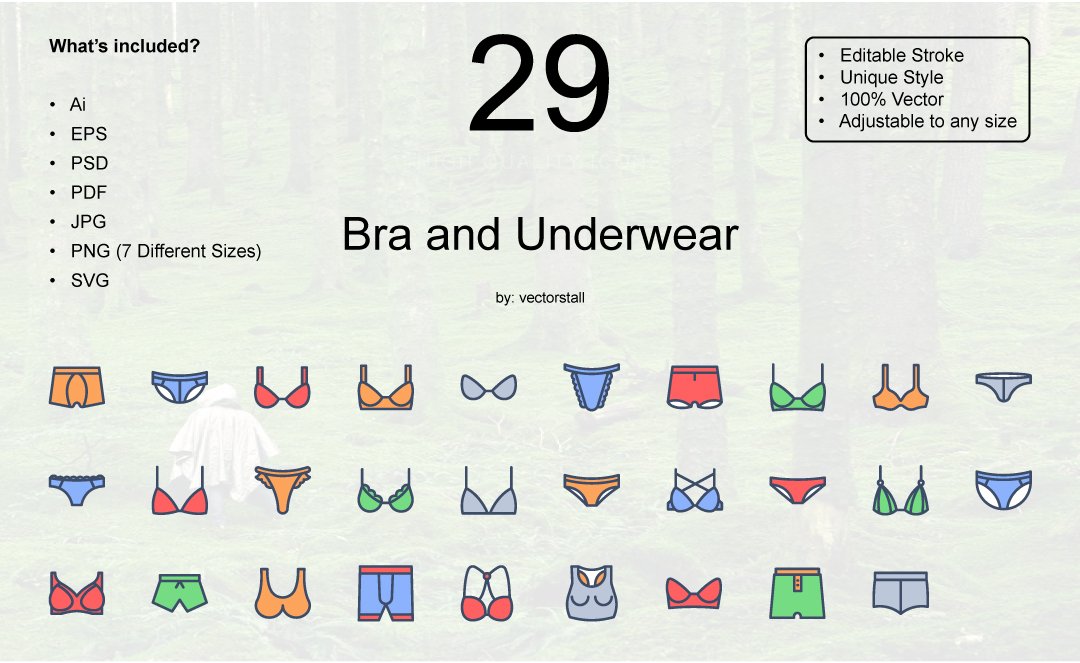 Bra and Underwear cover image.