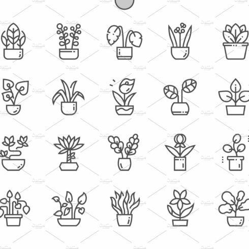 Indoor plants Line Icons cover image.