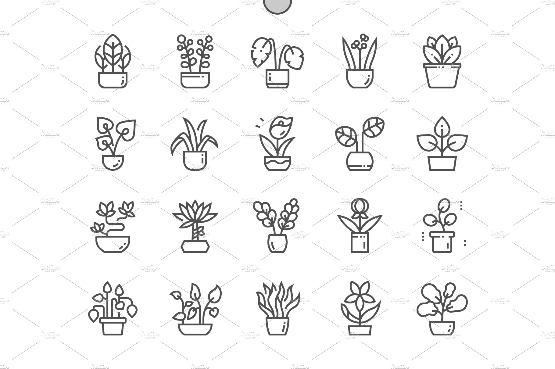 Indoor plants Line Icons cover image.