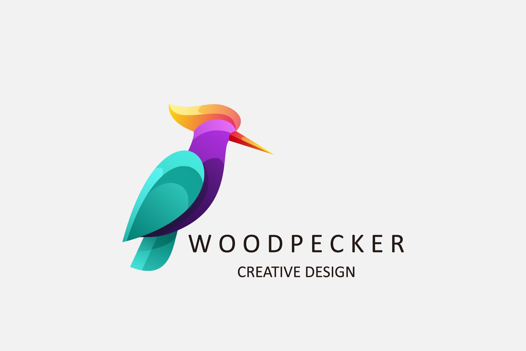 woodpecker gradient colorful logo cover image.