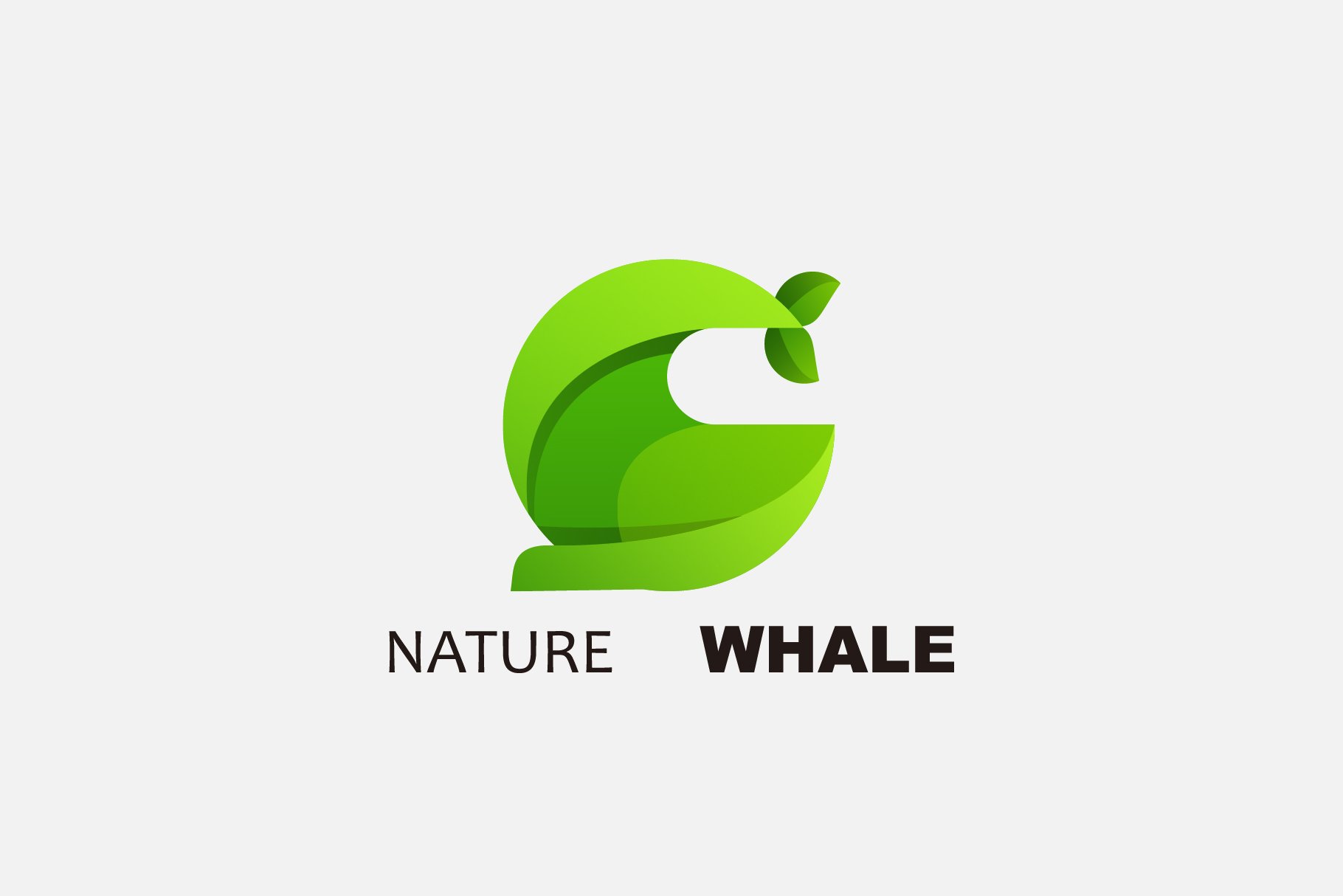 nature whale logo design color cover image.