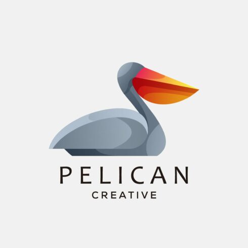 pelican vector logo design colorful cover image.