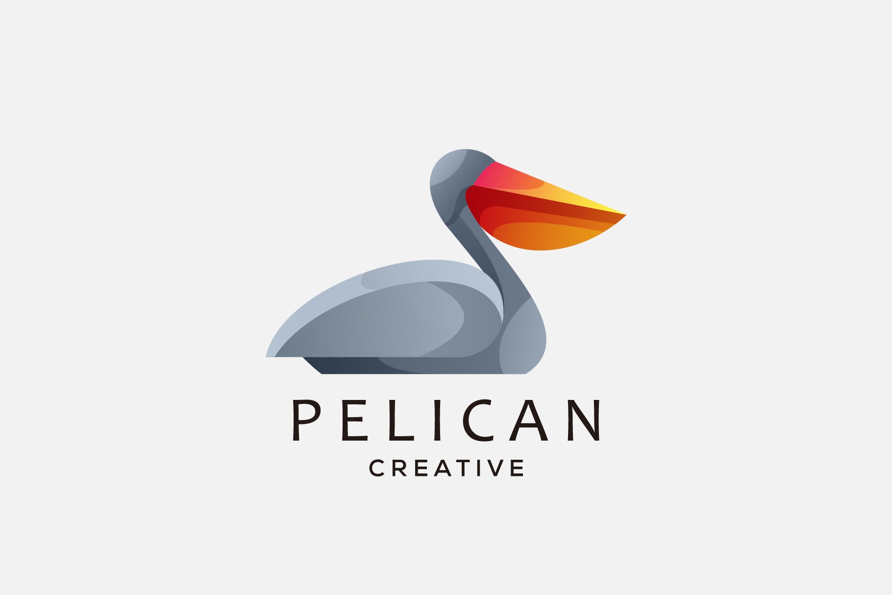 pelican vector logo design colorful cover image.