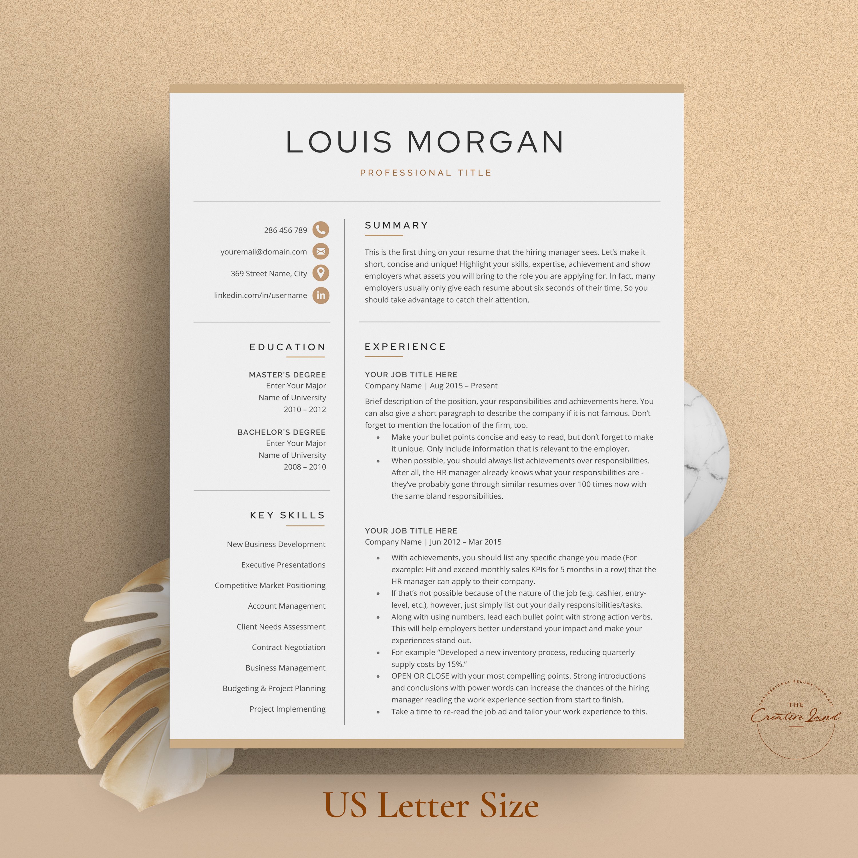 Resume/CV - The Louis preview image.