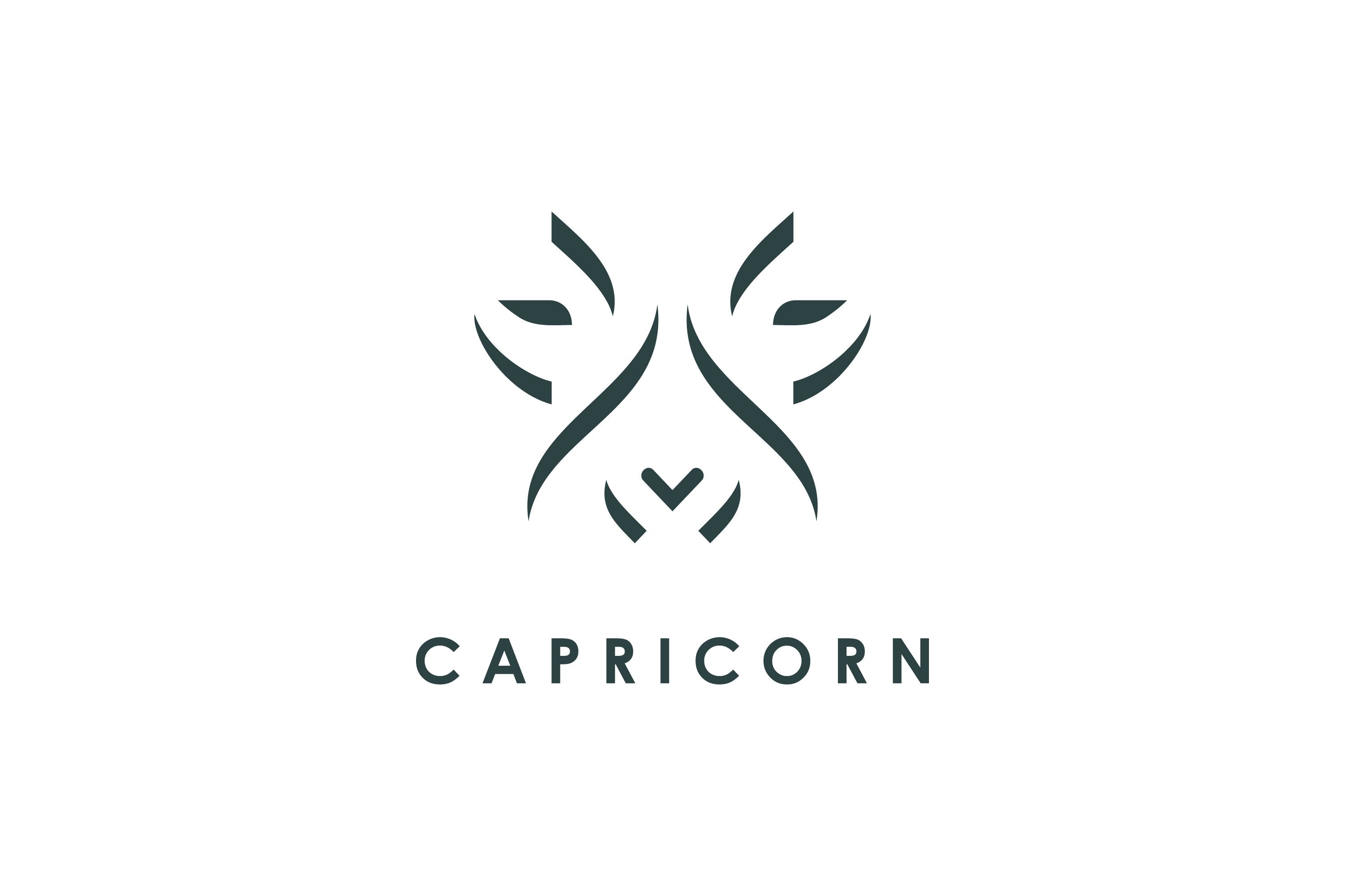 Simple Goat Logo for Zodiac Capricon cover image.
