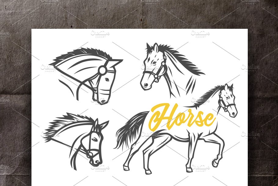 Horse cover image.