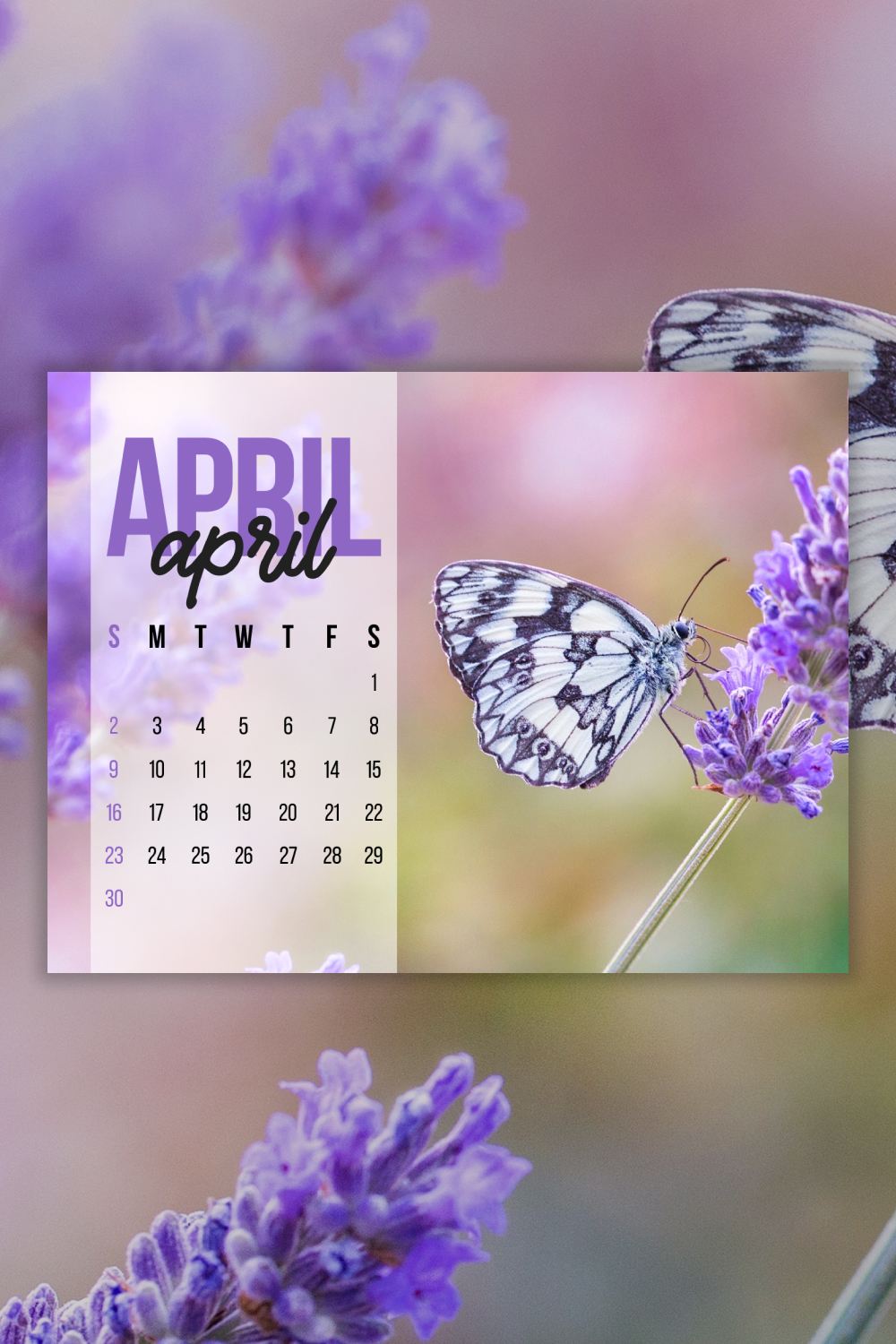 Calendar with a picture of a butterfly on it.