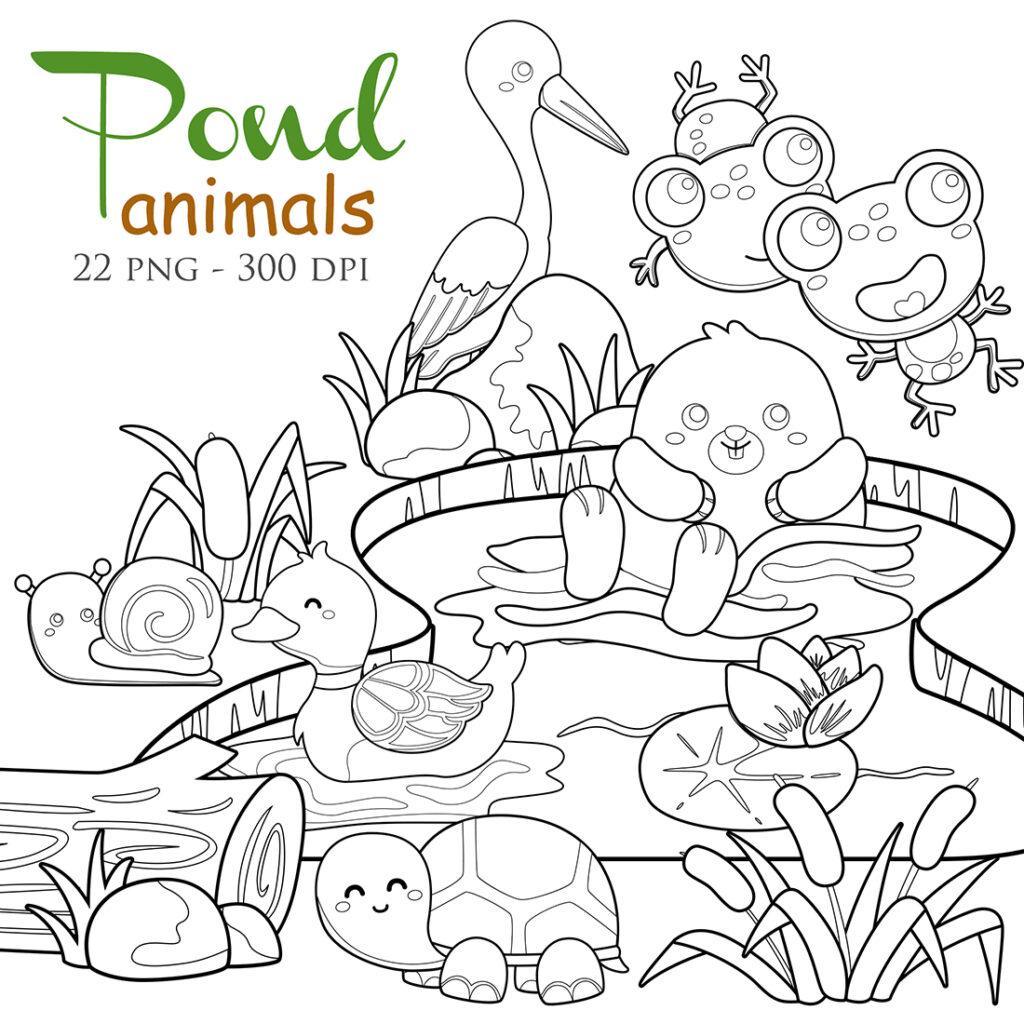 Pond Animal Water Frog Turtle Bird Duck Raven Beaver Snail Digital ...