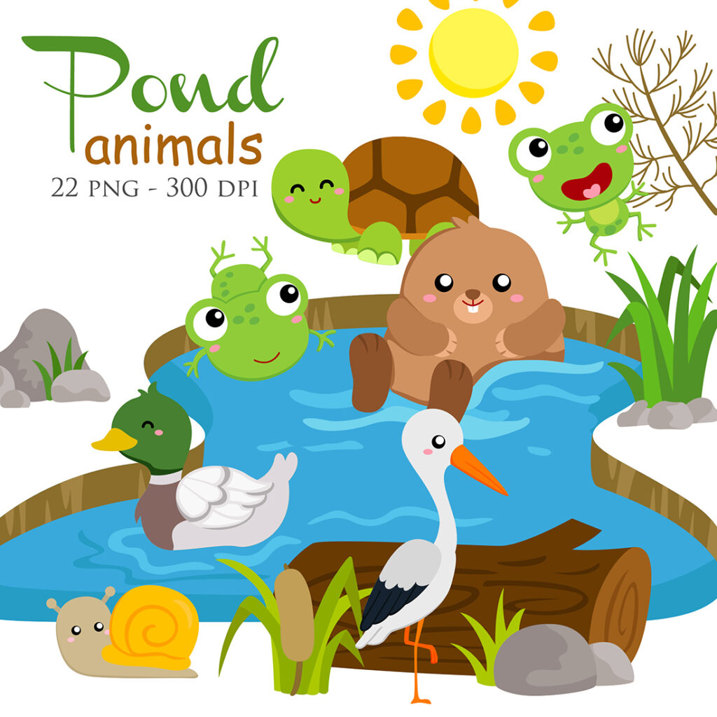 Pond Animal Turtle Frog Duck Snail Beaver Raven Birds Illustration