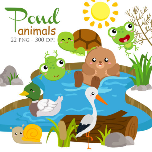 Pond Animal Turtle Frog Duck Snail Beaver Raven Birds Illustration Vector Clipart Cartoon cover image.