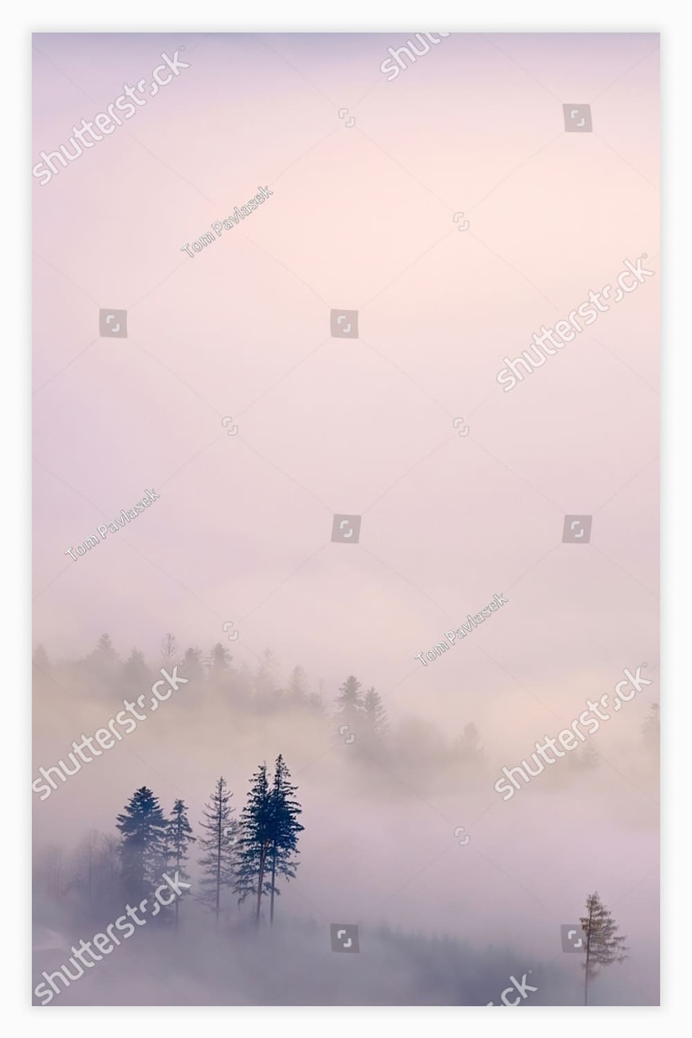 Foggy landscape with trees in the foreground.