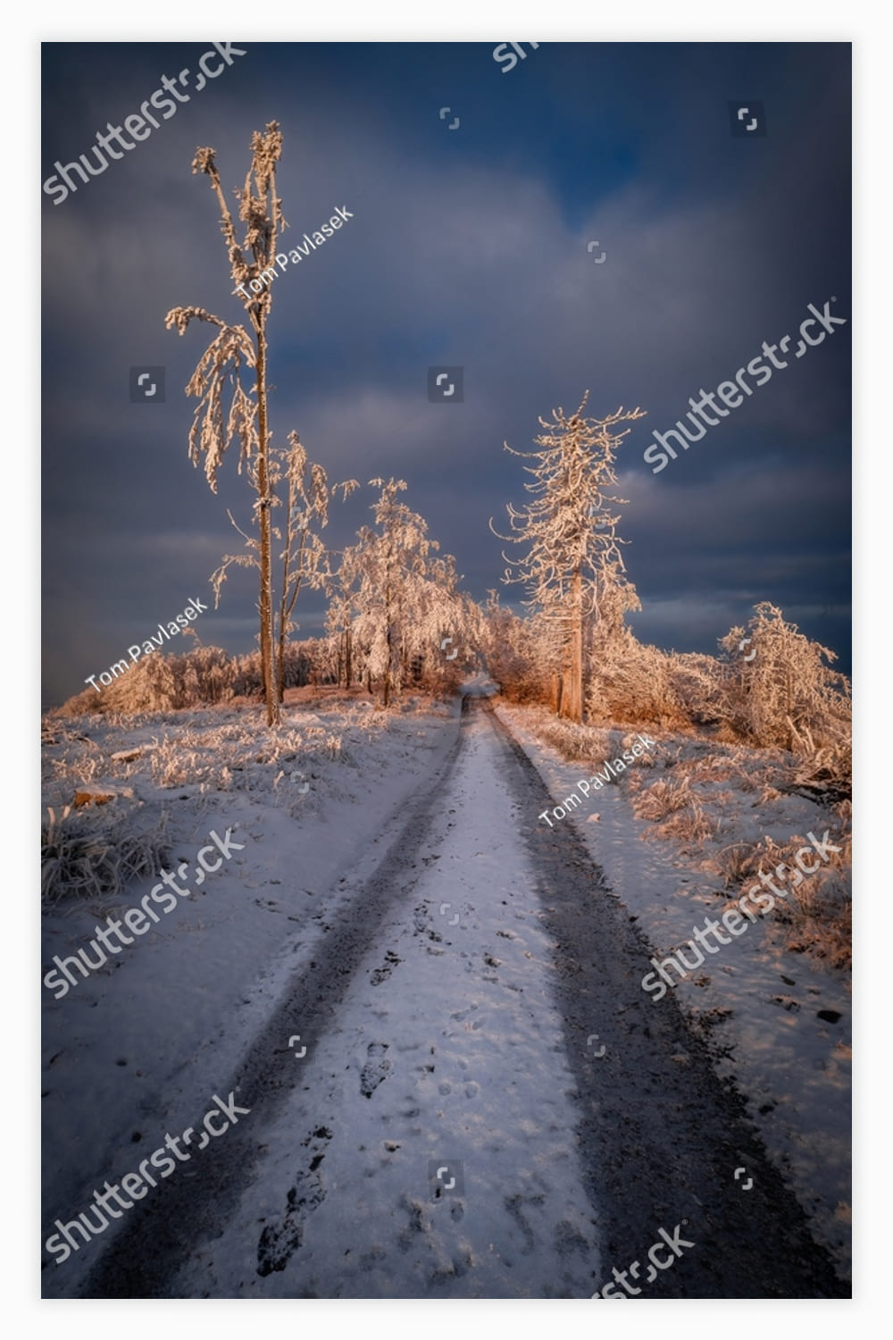 Winter forest path on the mountains with clouds in the background.