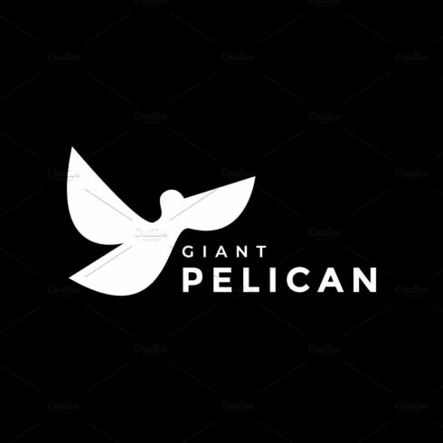 modern minimal fly pelican logo cover image.