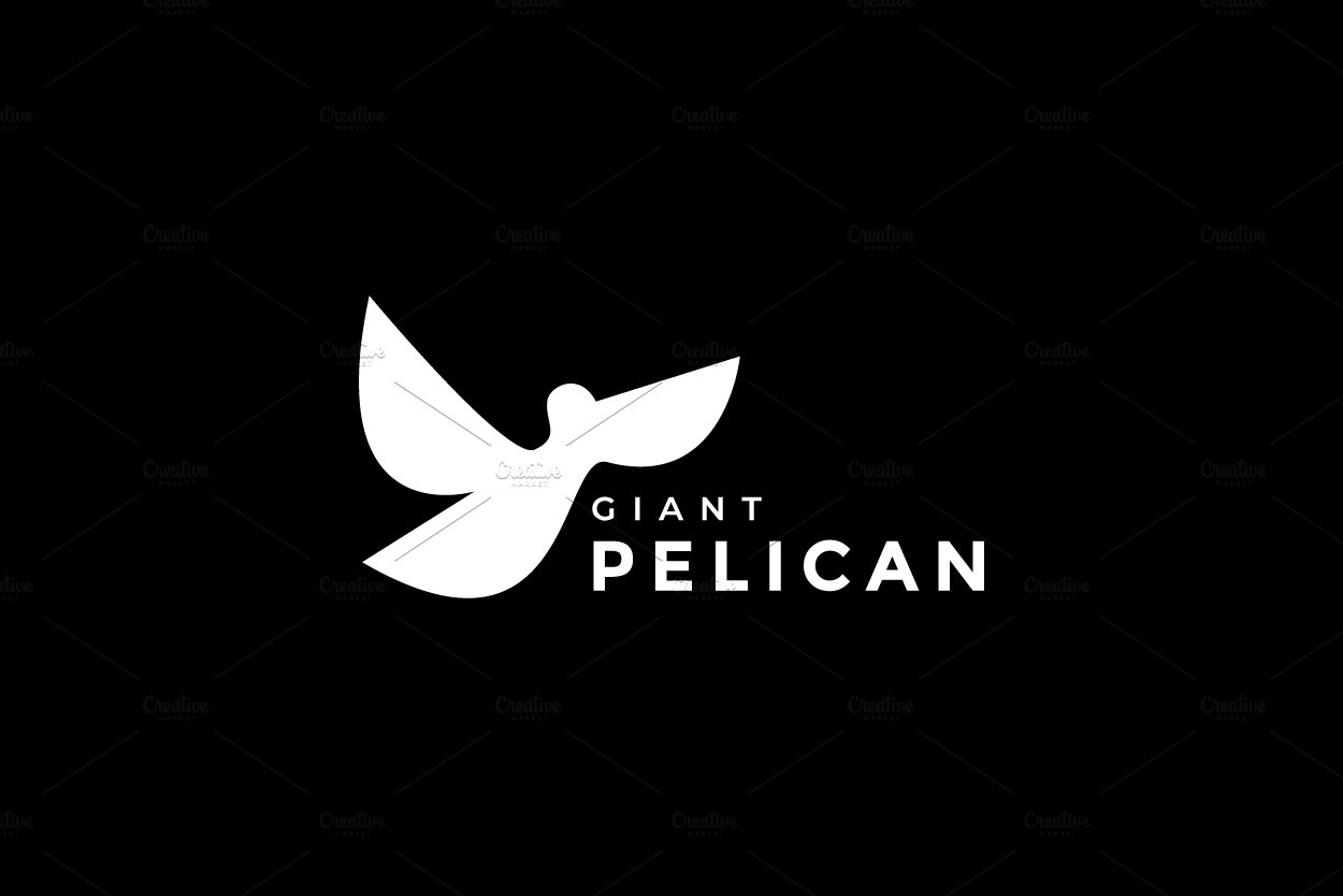 modern minimal fly pelican logo cover image.