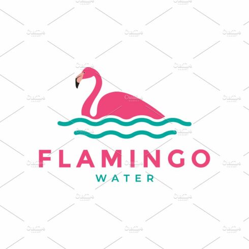 colorful bird flamingo swimming logo cover image.