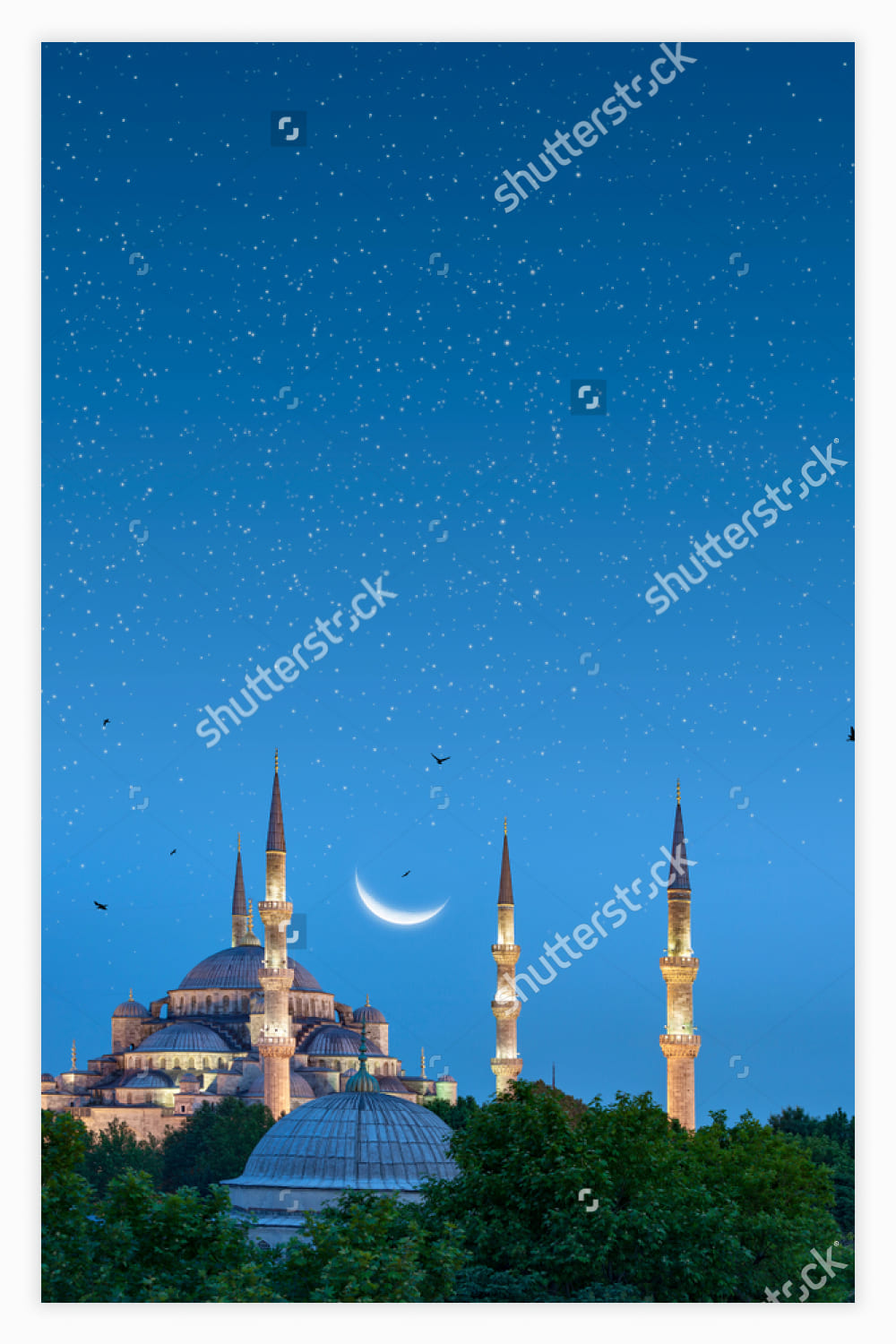Blue Mosque, Istanbul under Moonlight, Turkey.