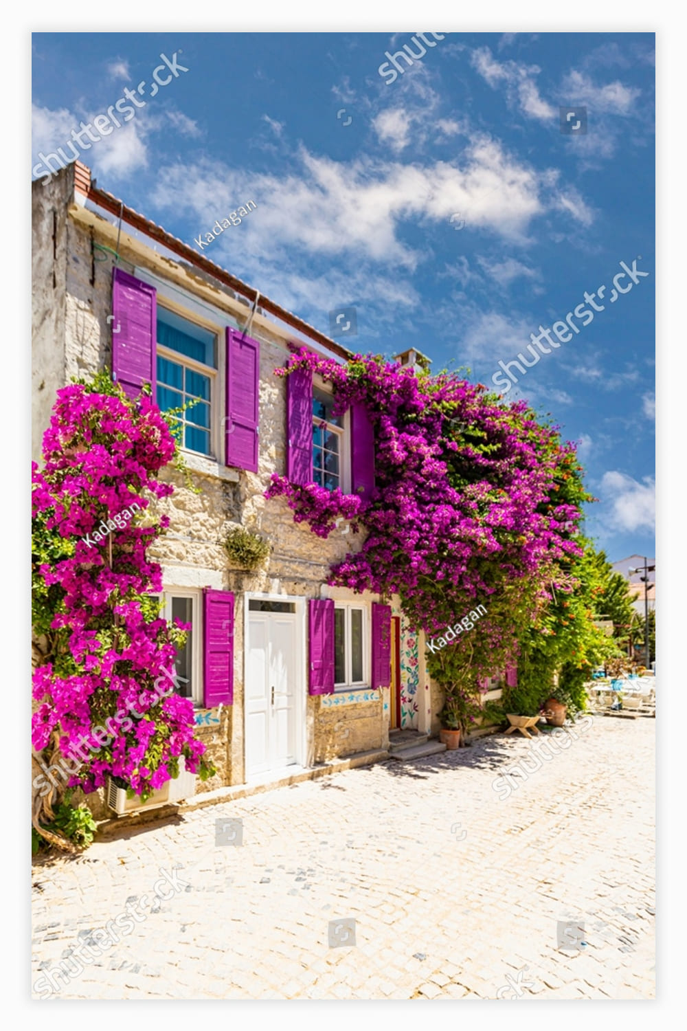 House with purple flowers growing on the side of it.