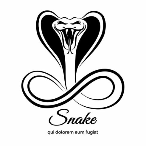 Snake logo cover image.