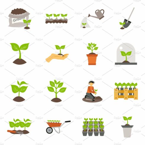 Seedling process flat icons set cover image.