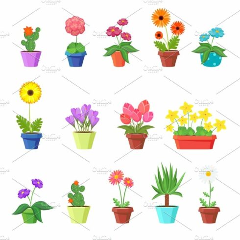 Cute spring flowers in pots vector cover image.