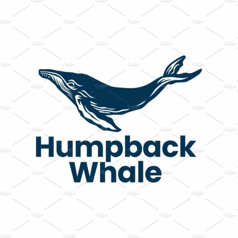 humpback whale outline monoline logo cover image.