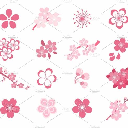 Blossom japanese sakura icon set cover image.