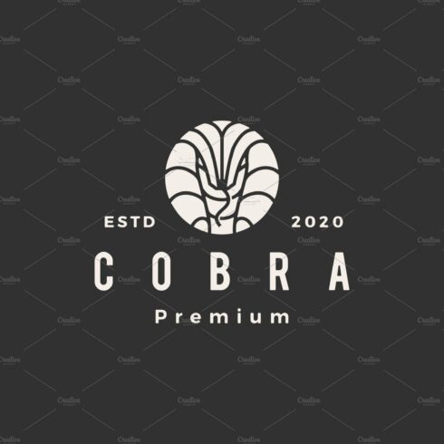 cobra hipster vintage logo vector cover image.