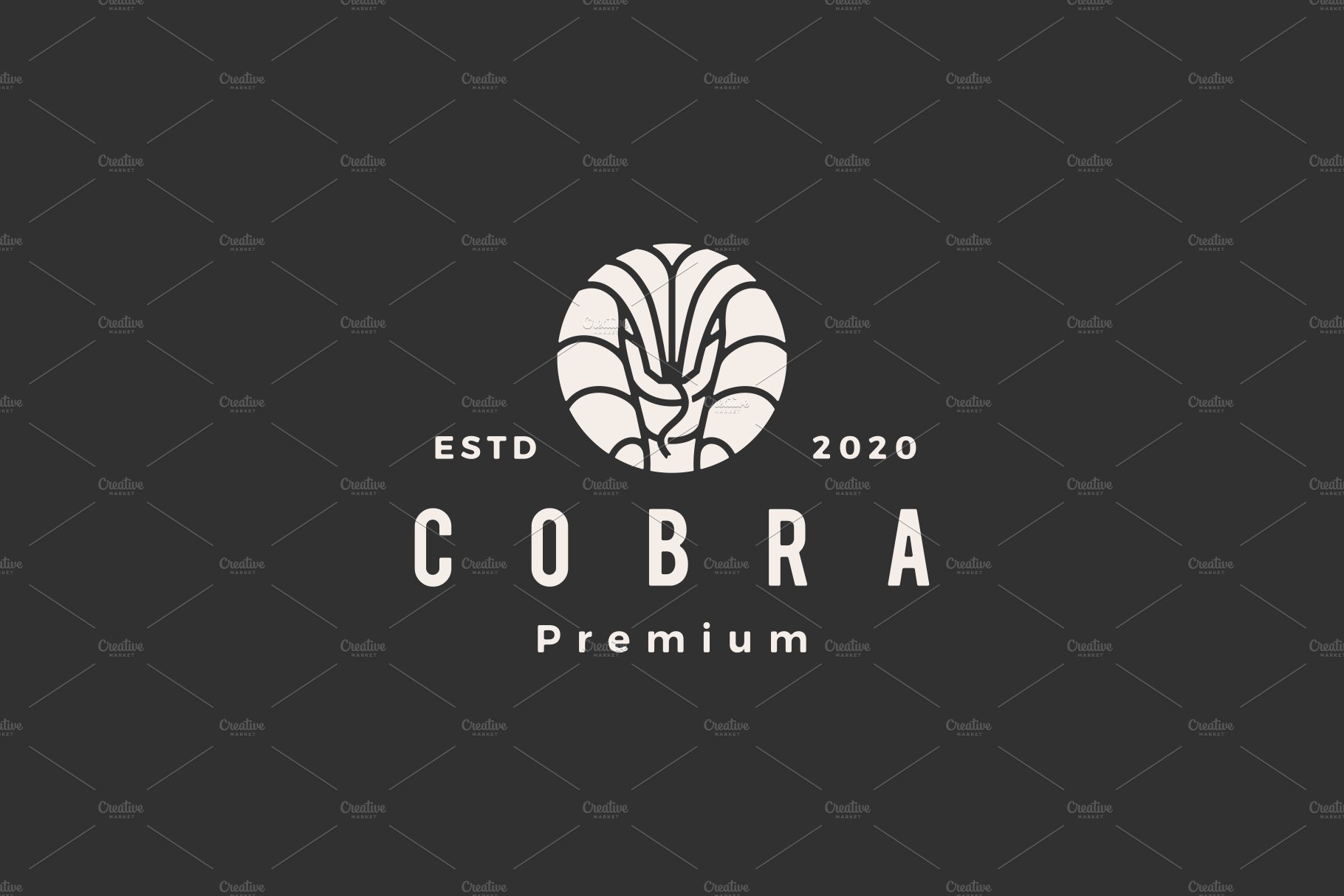 cobra hipster vintage logo vector cover image.