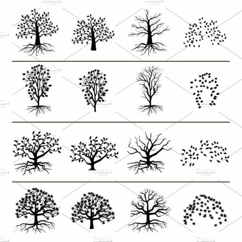 Monochrome silhouette of tree cover image.