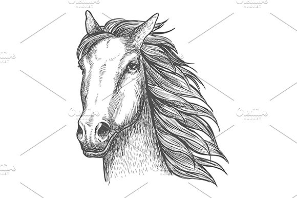 Wild Horse Sketch PNG & SVG Design For T-Shirts