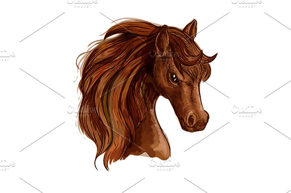 Brown arabian mare horse cover image.