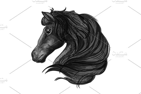 Black horse head icon cover image.
