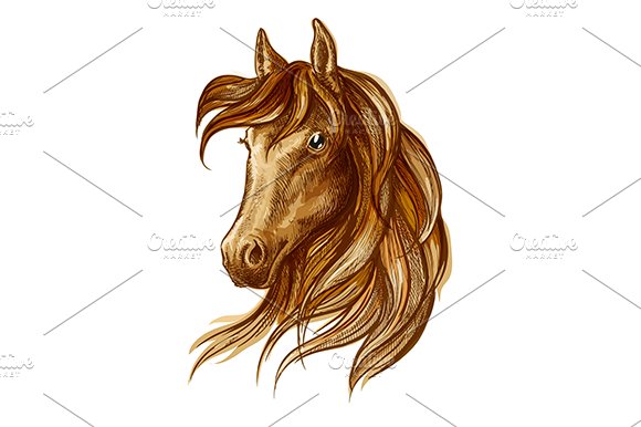 Brown stallion horse head cover image.